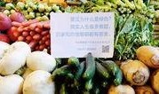 卖菜短视频爆料文案,卖菜背后的真实故事