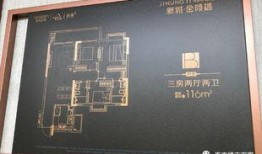 江北楼市爆料最新消息视频,揭秘视频爆料背后的楼市真相